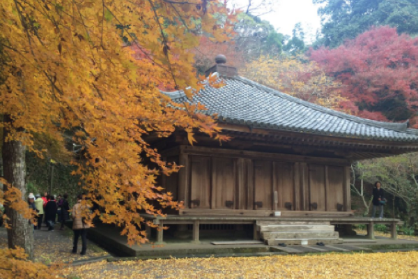 日本九州赏红叶景点推荐 马蜂窝