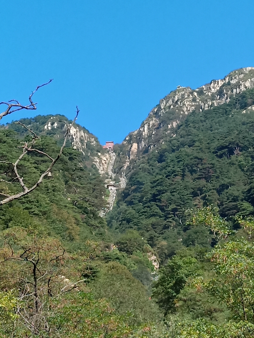 一人游——登泰山