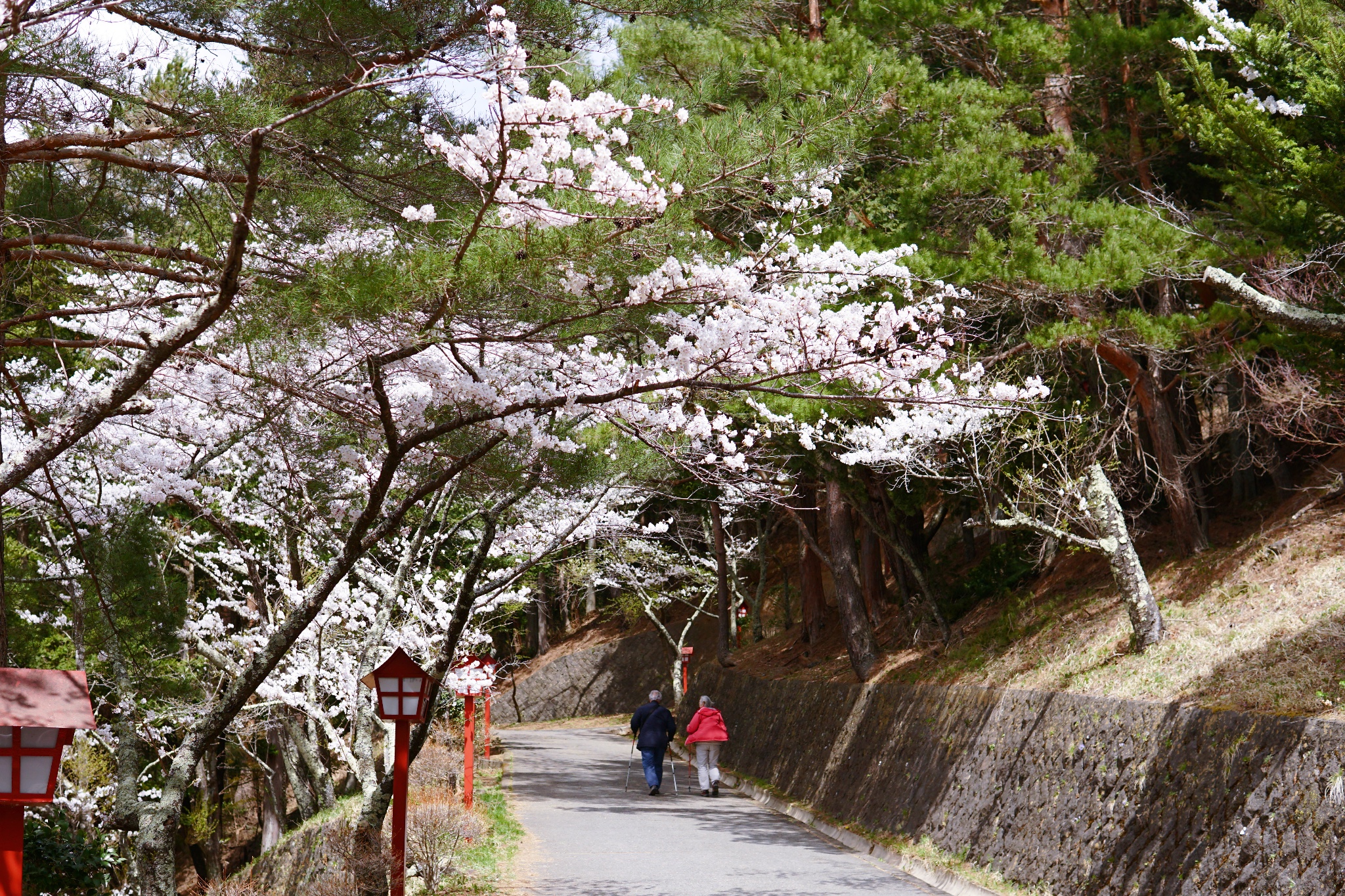 東京自助遊攻略