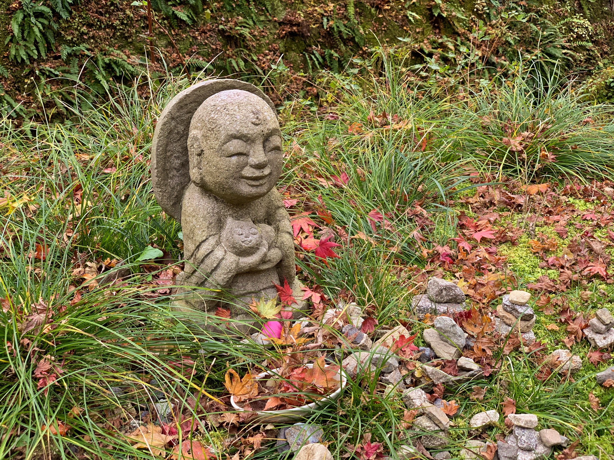 京都自助遊攻略