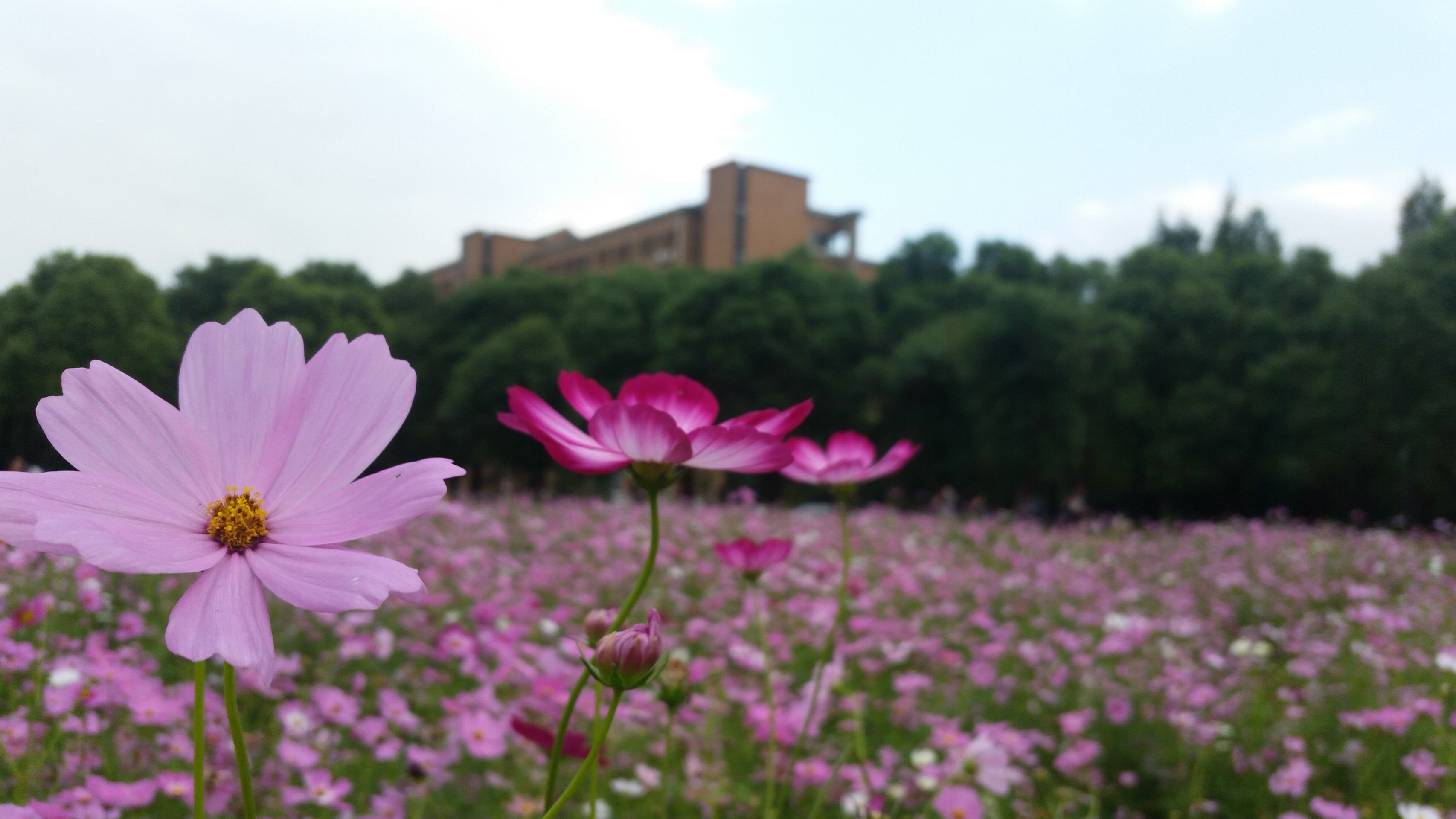 浙江工业大学屏峰校区