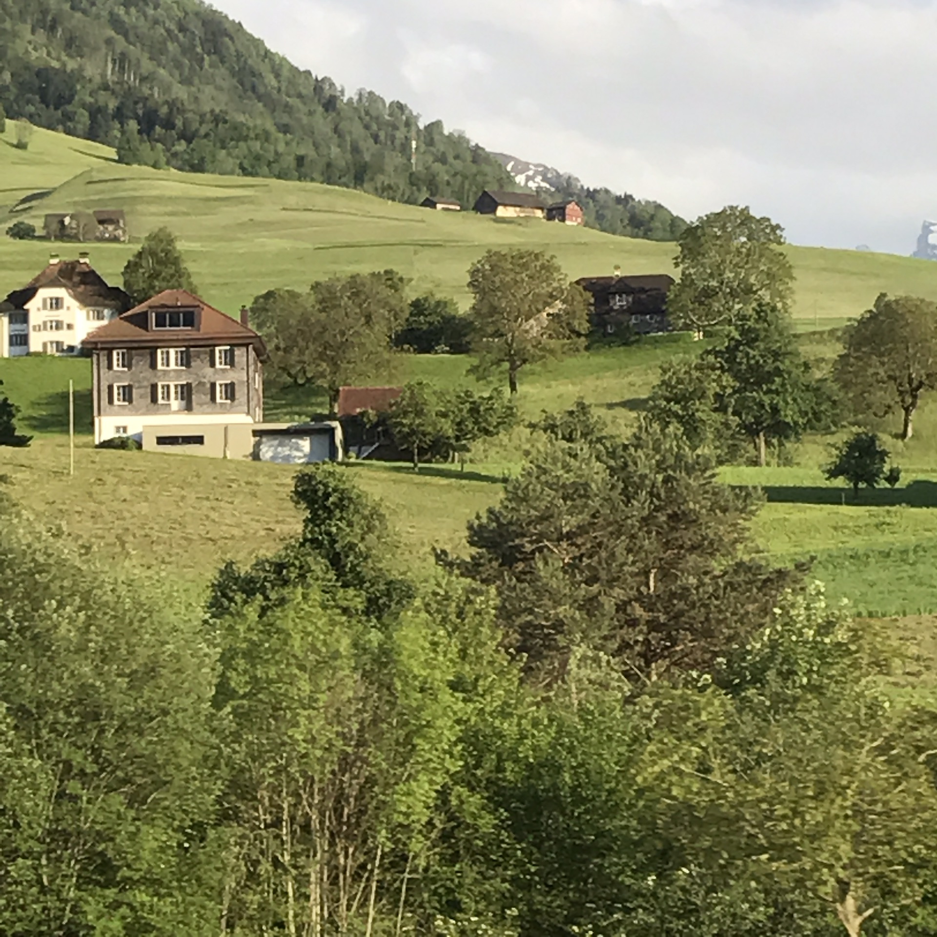 下瓦尔登州美食-Nidair Flugfeld