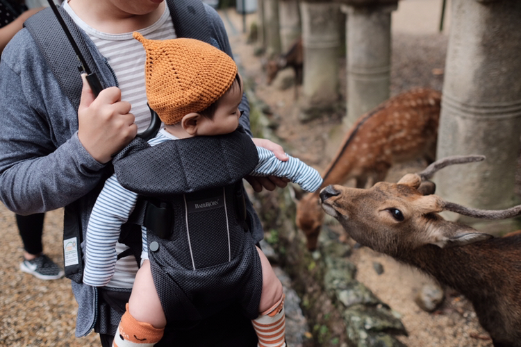 春节带小孩，适合去哪里旅游？你带孩子去过哪儿？