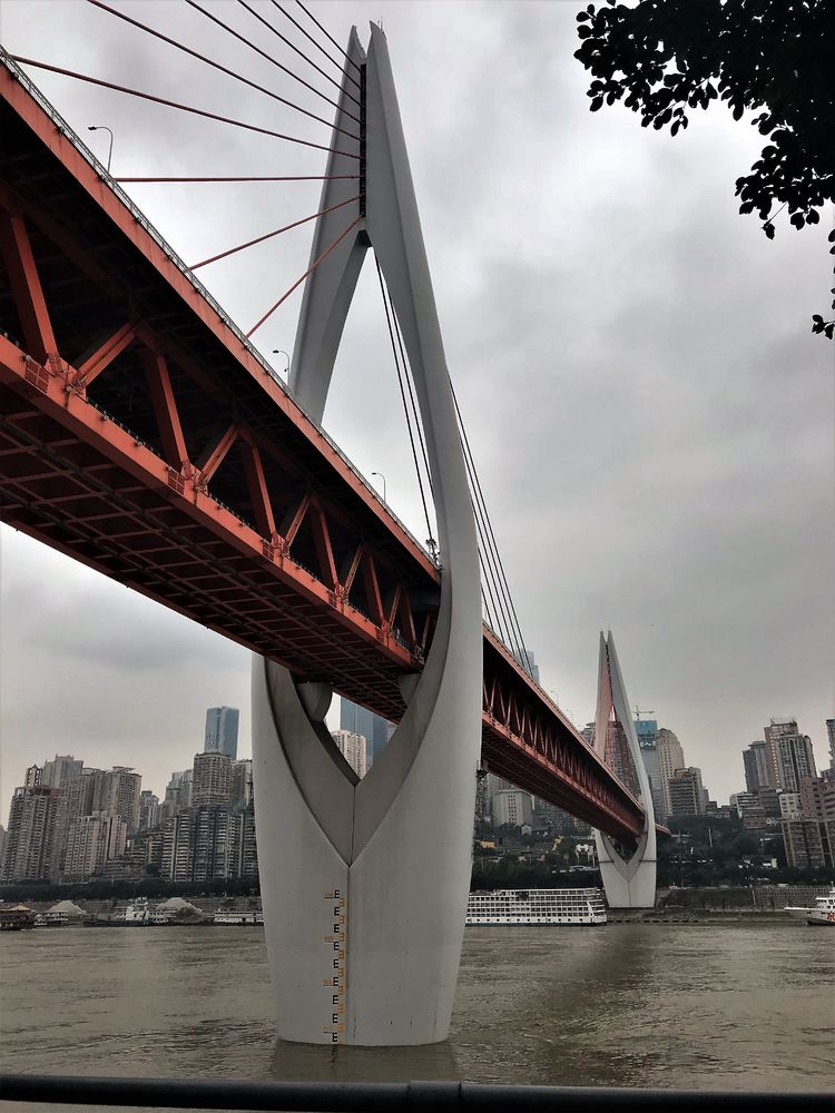 请您到重庆来看桥上