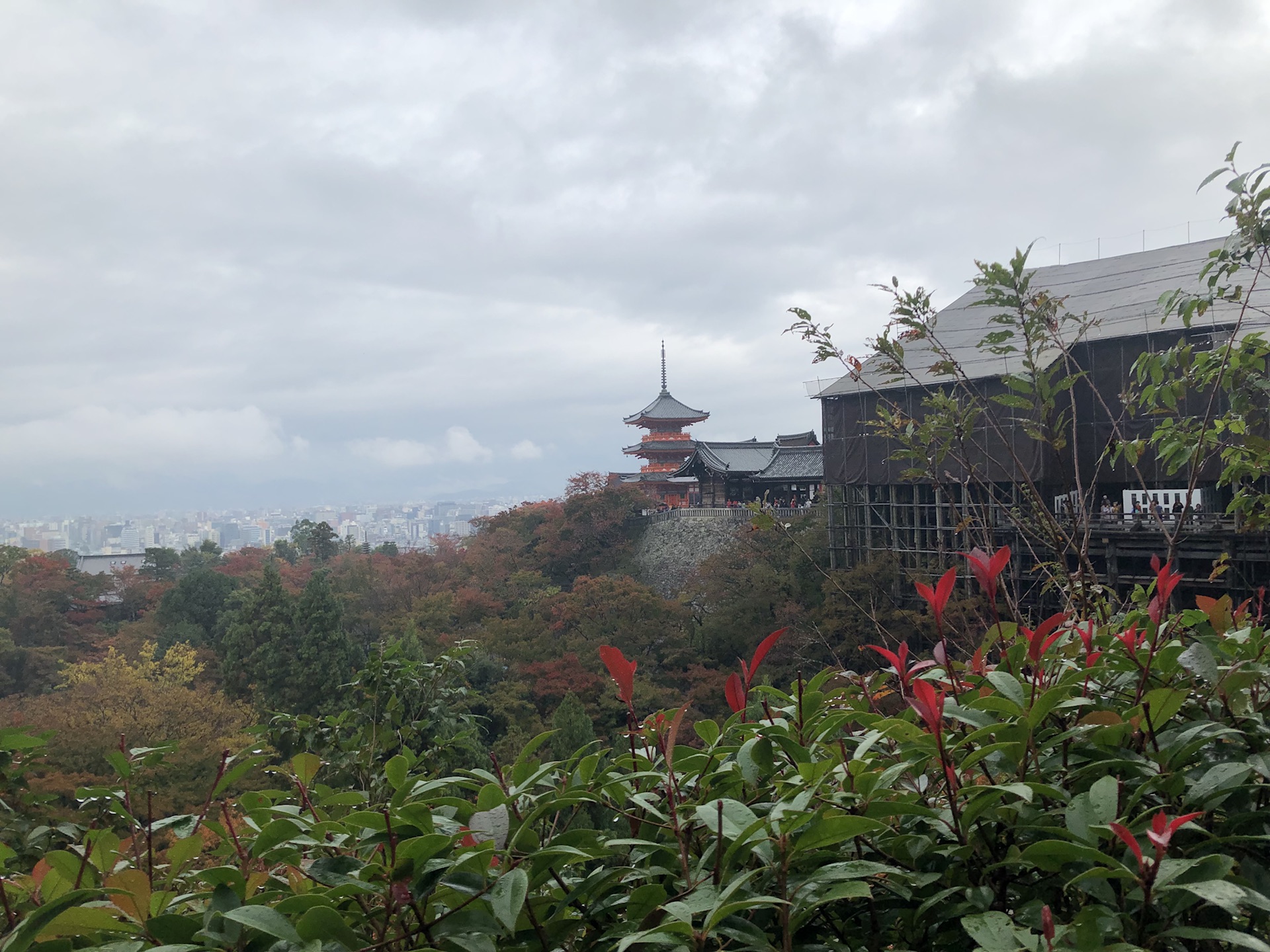 京都自助遊攻略