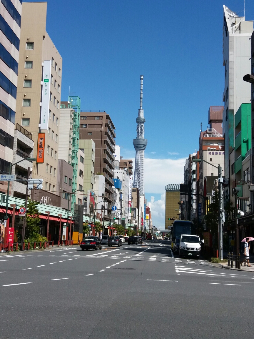 静冈-蚂蜂窝游记
