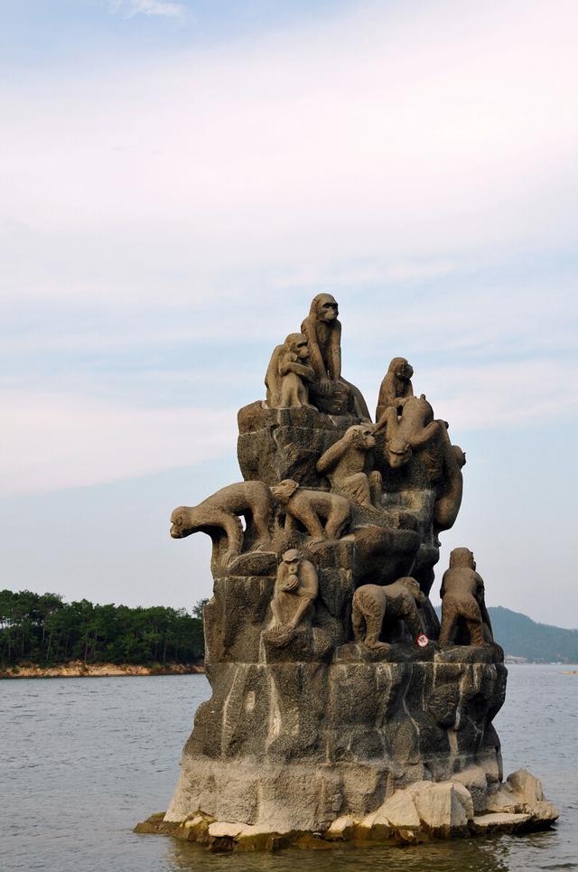 难忘那只倒立的猴坚强我的千岛湖猴岛之旅