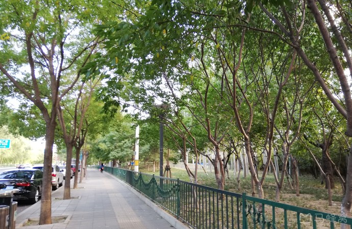 四季青公园旅游图片,四季青公园自助游图片,四季青公园旅游景点照片