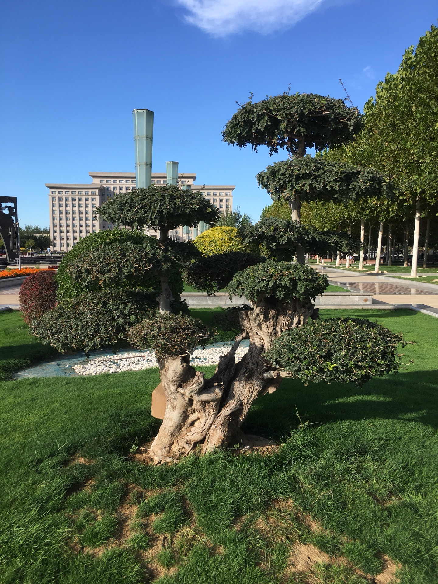 武清 文化公園初秋