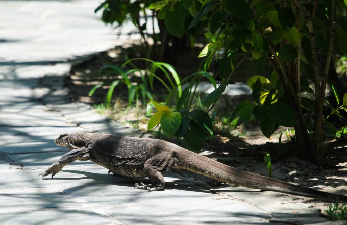 仙本那亲子游玩法合辑,网红海岛绝不只有海