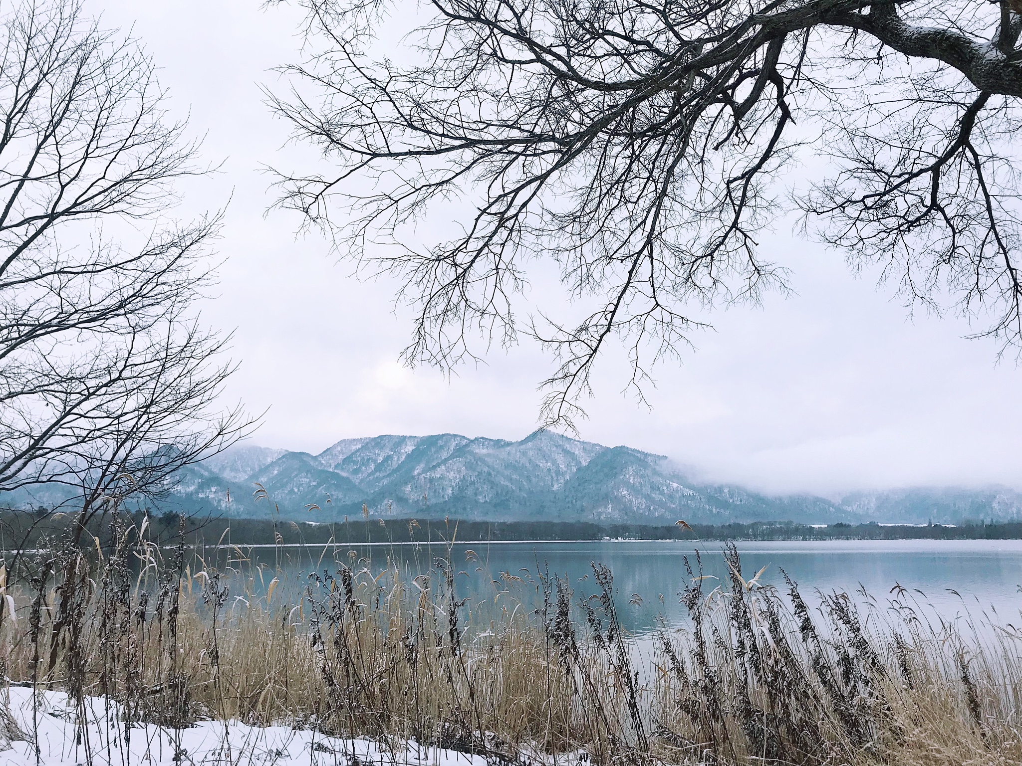 北海道自助遊攻略