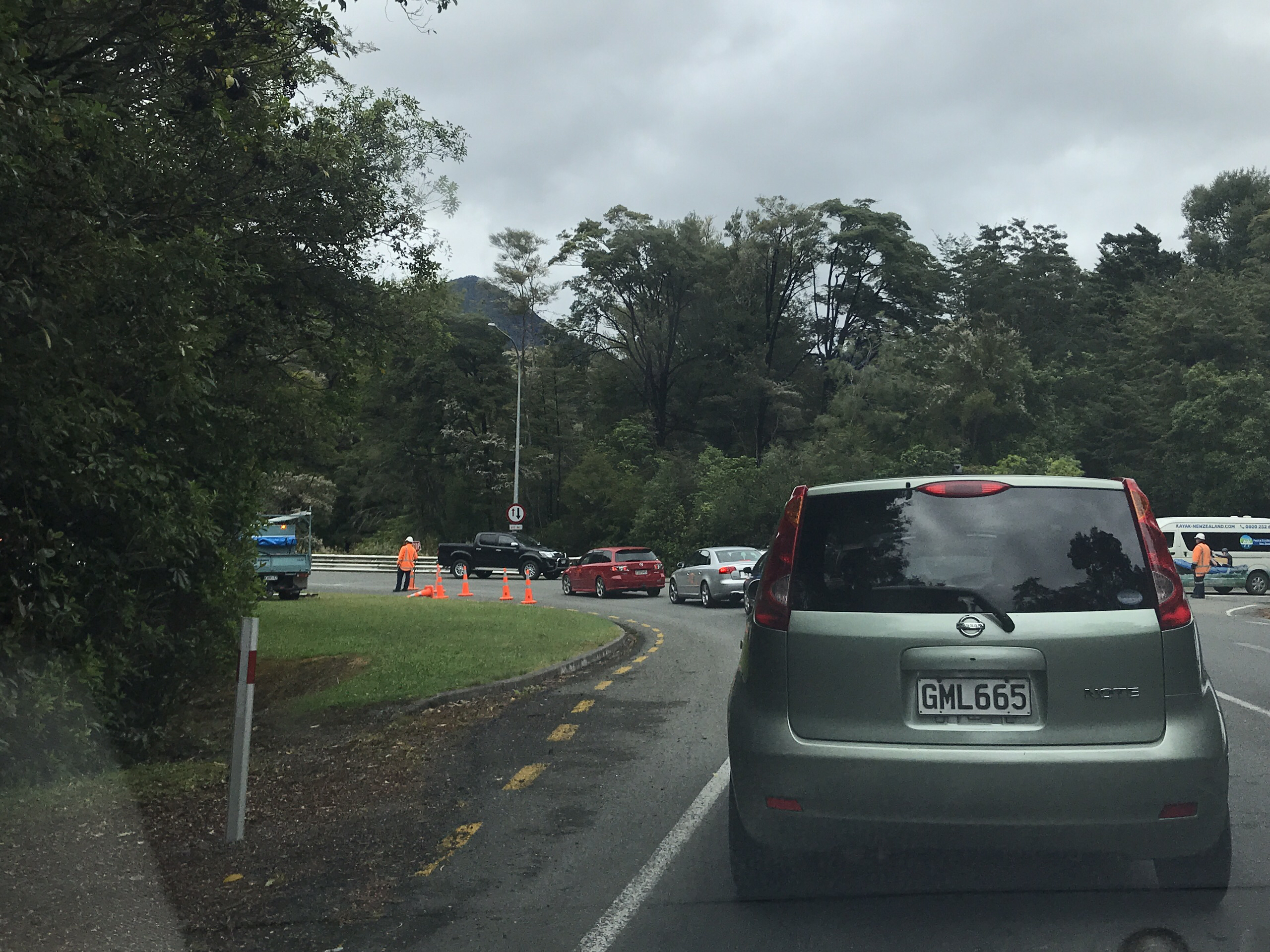 Pelorus Bridge Scenic Reserve