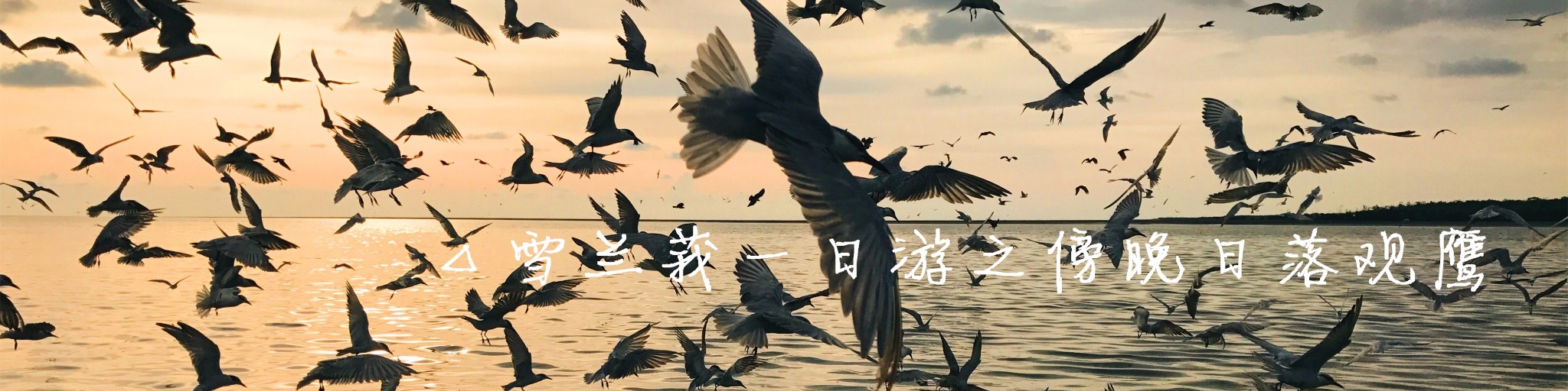 △雪兰莪一日游之傍晚日落观鹰