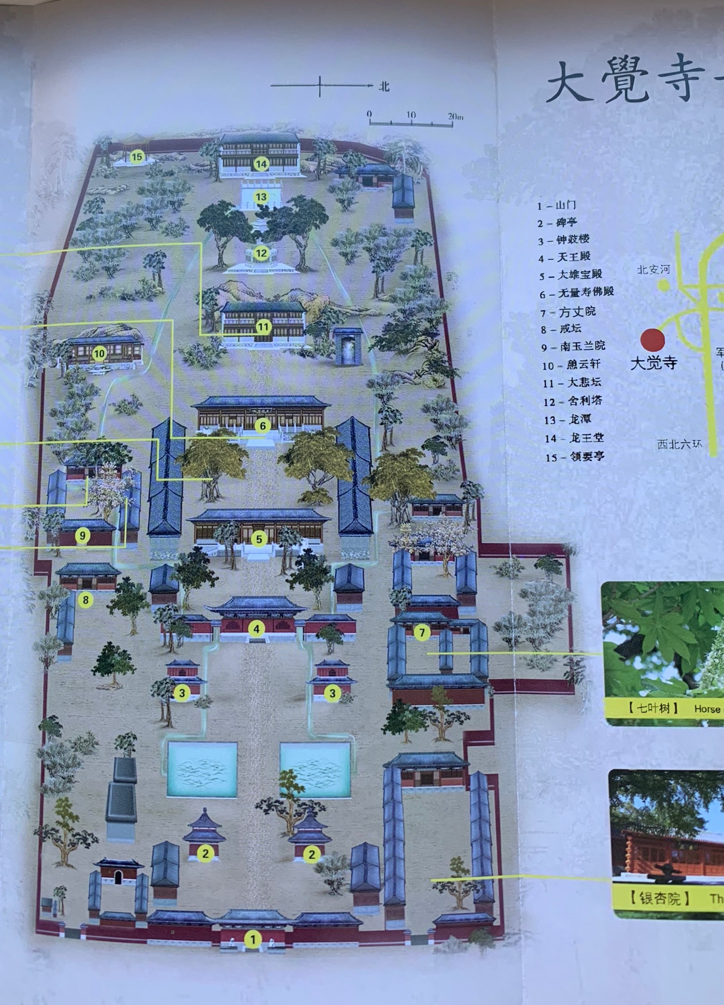 北京西山大觉寺的春与秋