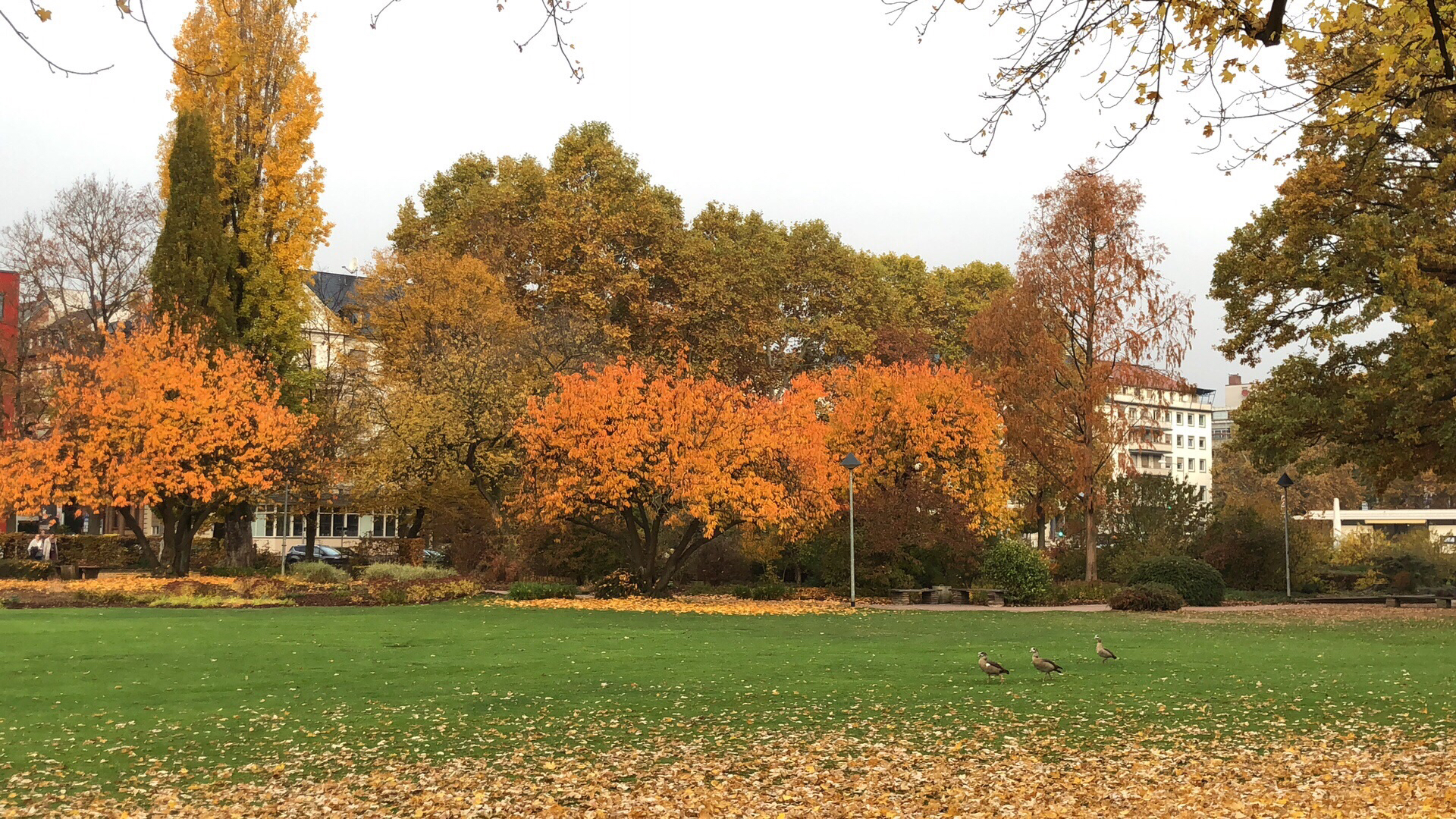 Casa Nova - Die Brasserie in Wiesbaden Biebrich im Henkell Park