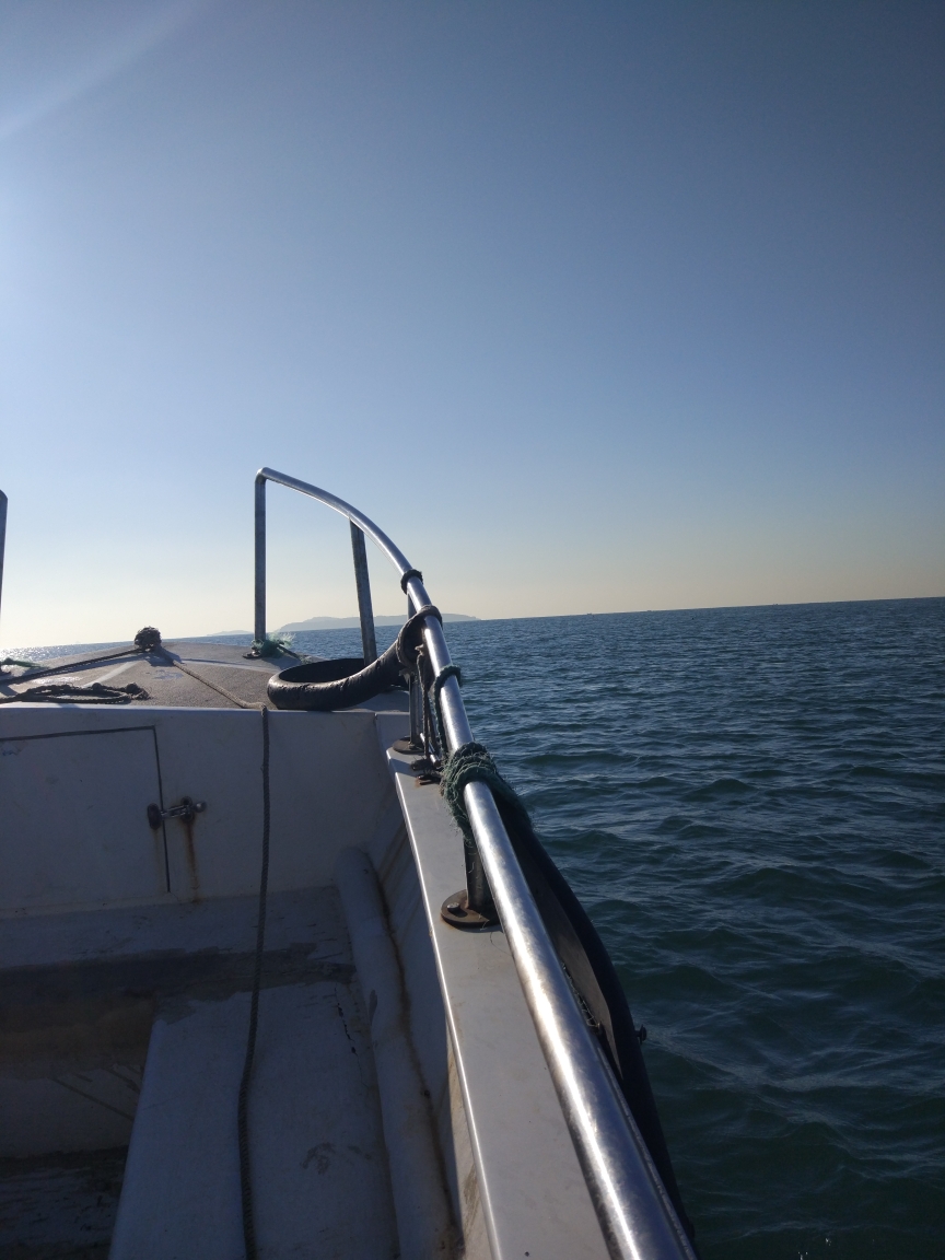 竹岔岛-脱岛之行