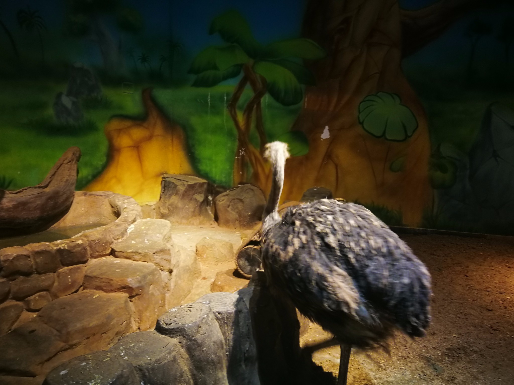 3000 平方米的未来动物城落户沈阳中街,快来打卡! - 马蜂窝