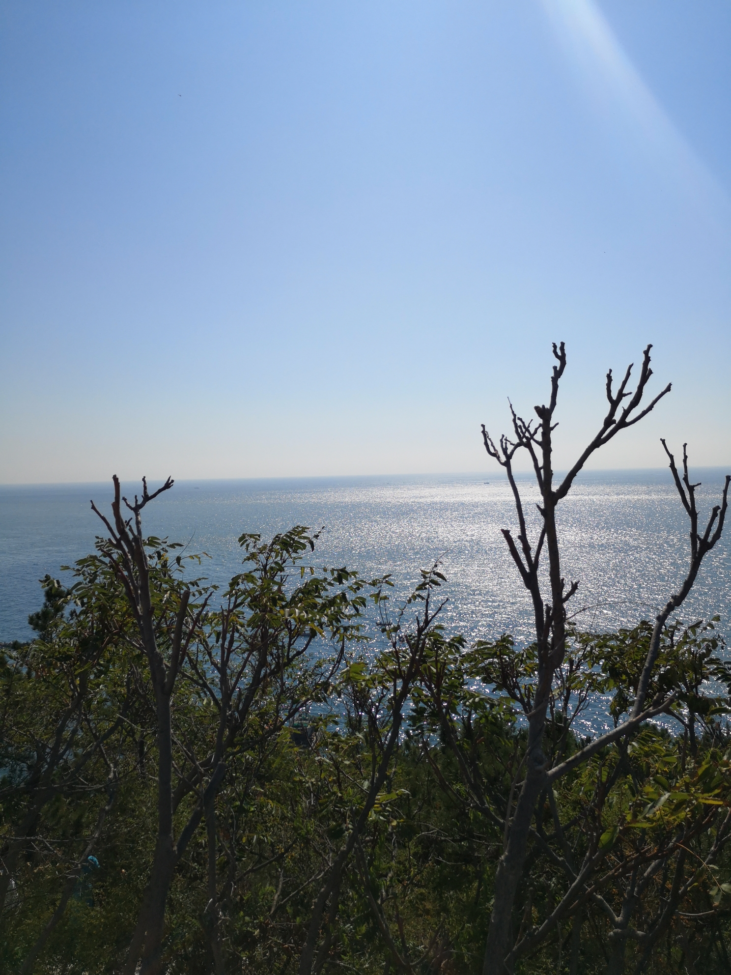 黃渤海分界線,旅順旅遊攻略 - 馬蜂窩