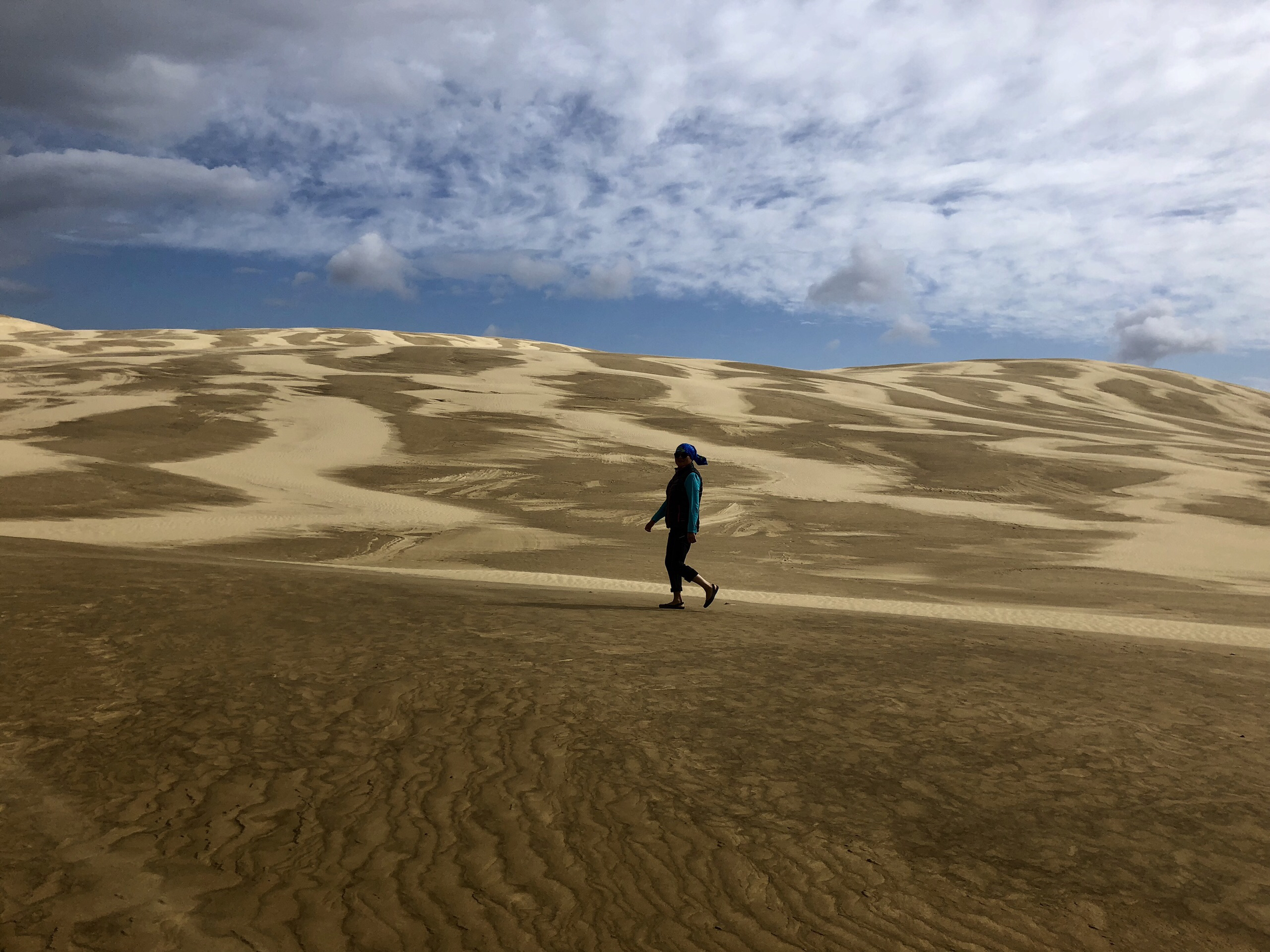 Te Paki Sand Dunes