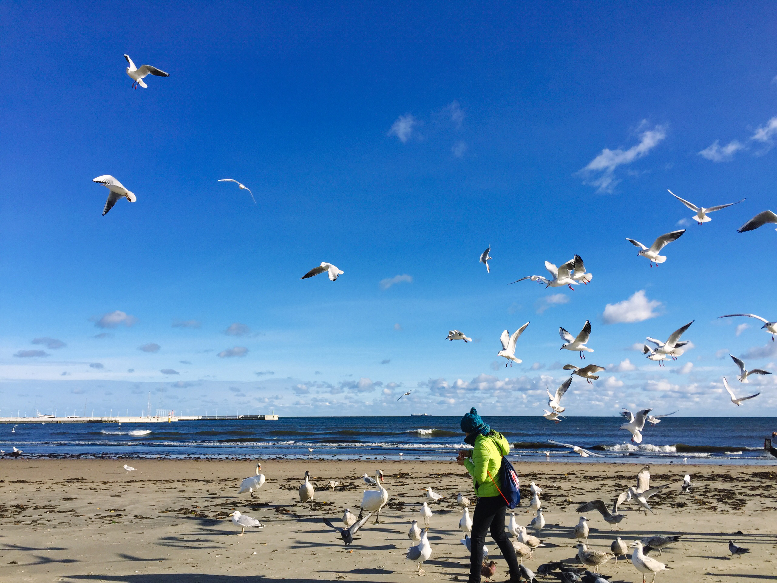 滨海省娱乐-Sopot Beach