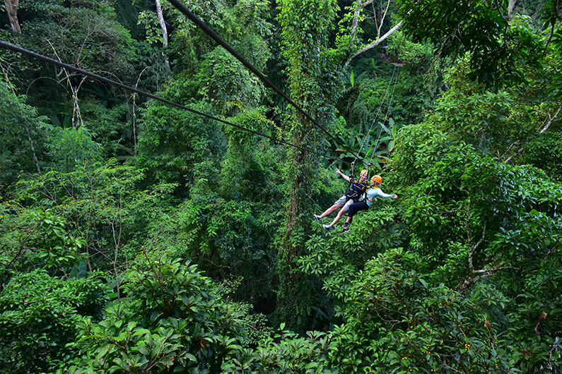 泰国清迈 长臂猿丛林飞跃/flight of the gibbon(赠送观赏瀑布)