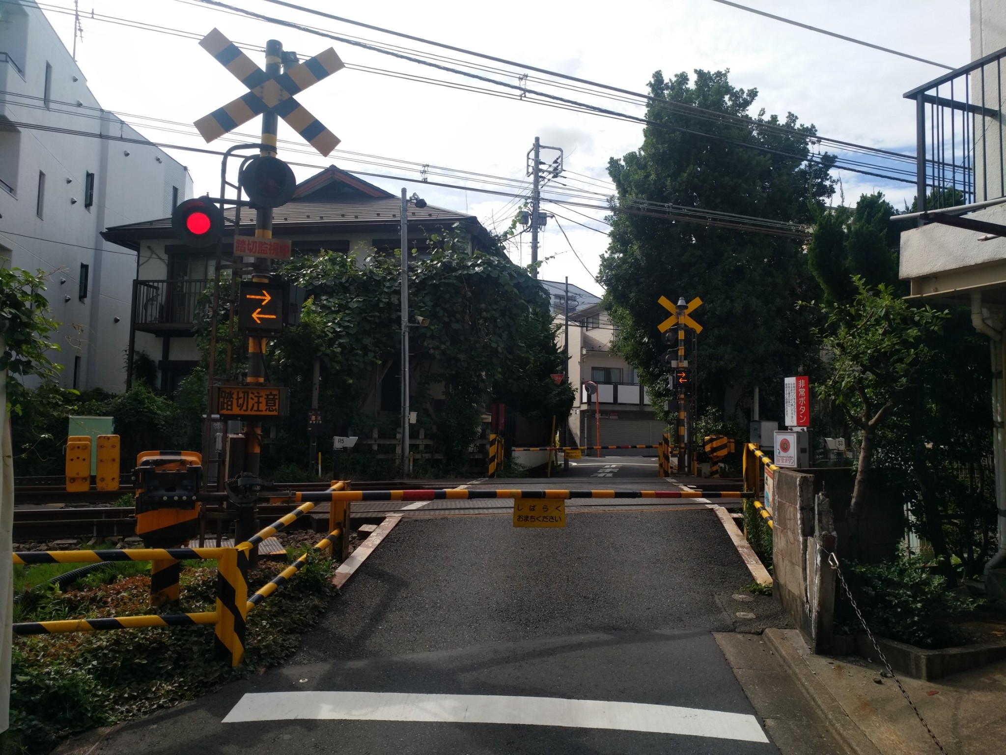 東京自助遊攻略