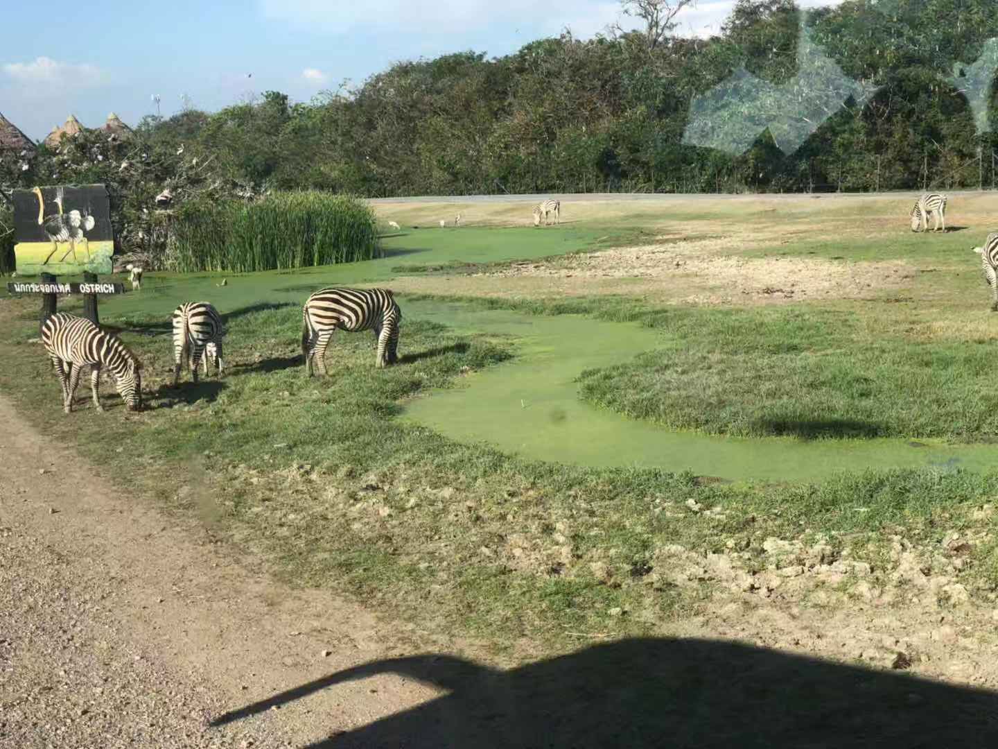 蘇梅島自助遊攻略