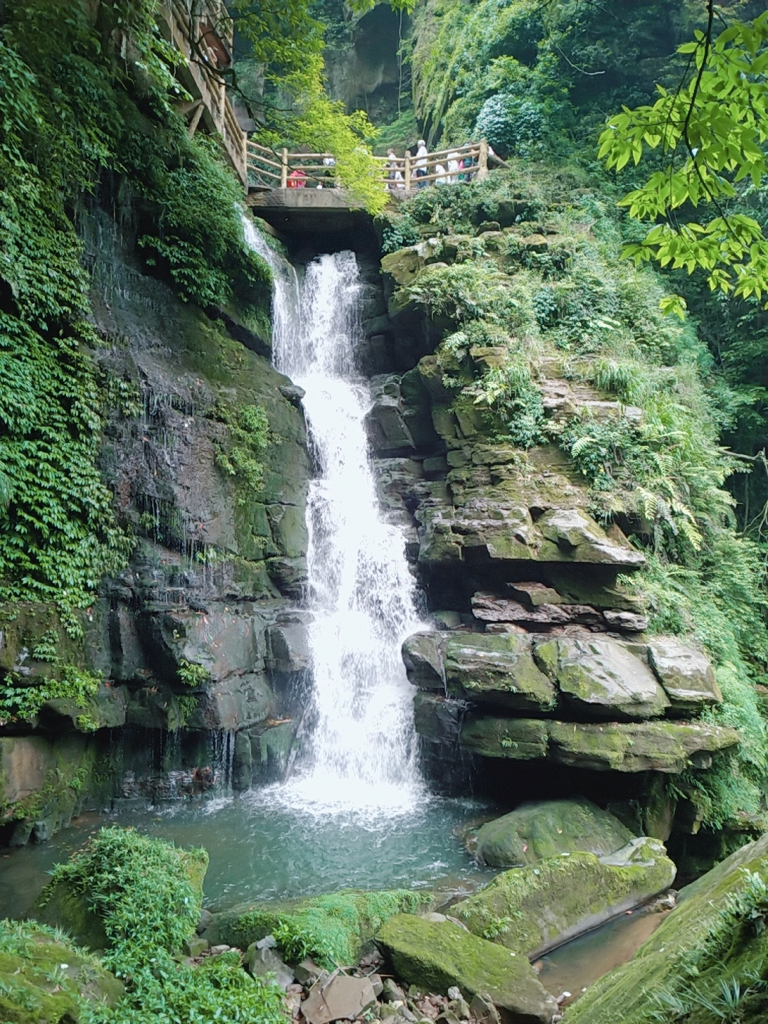 碧峰峽一日遊,雅安旅遊攻略 - 馬蜂窩