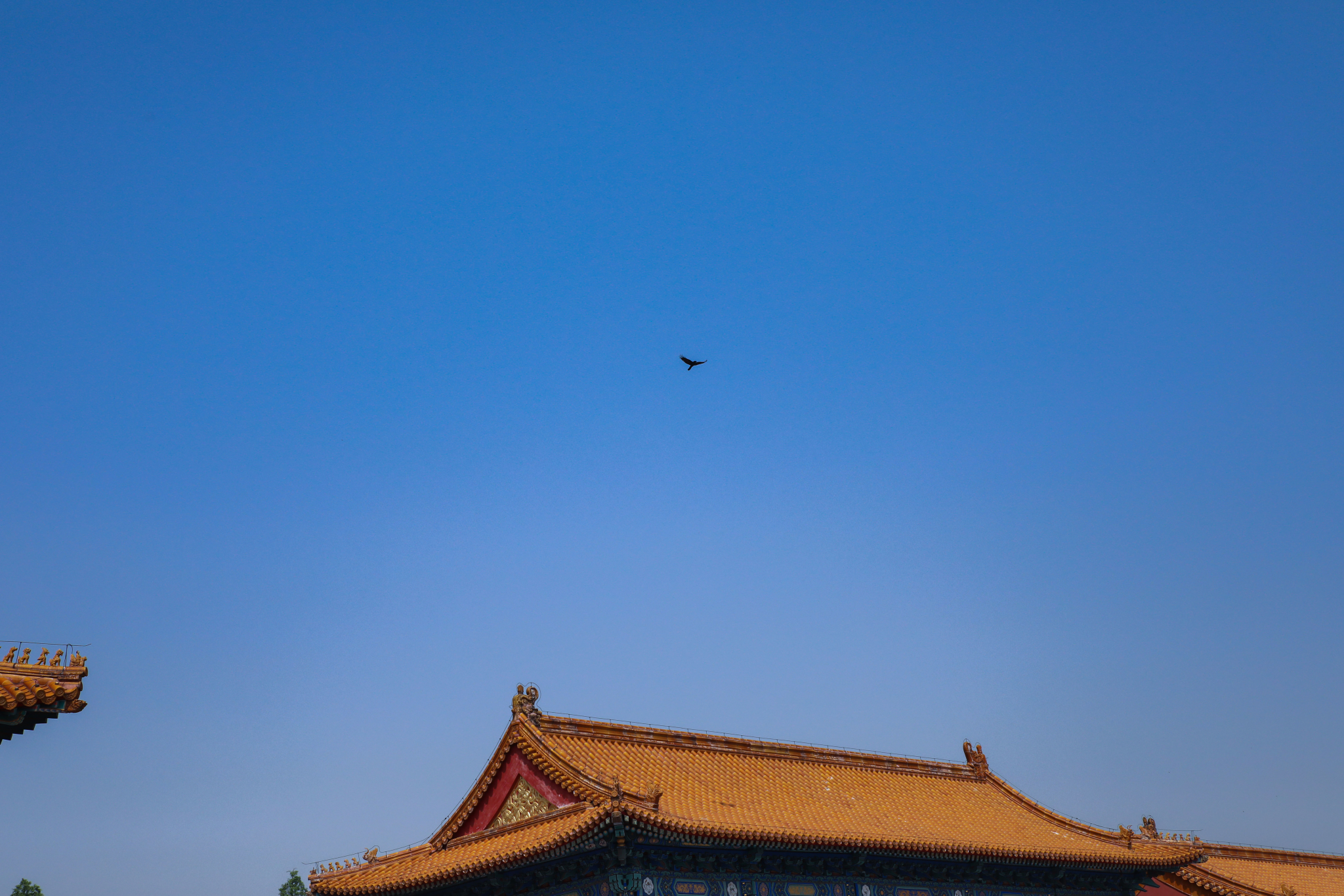 京城兩日遊,定格帝都記憶-北京故宮,南鑼鼓巷,天壇,圓明園_遊記