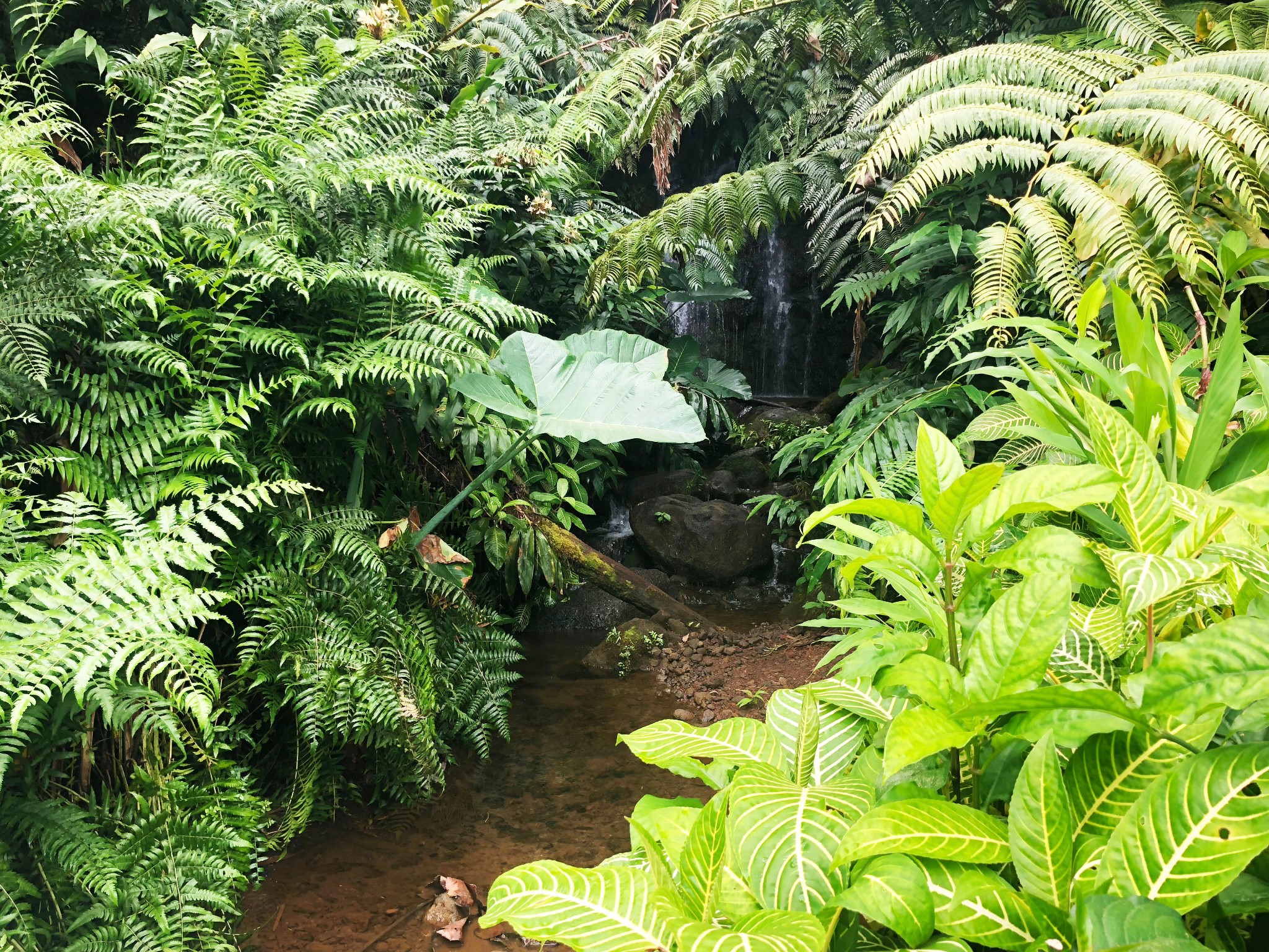 夏威夷自助遊攻略