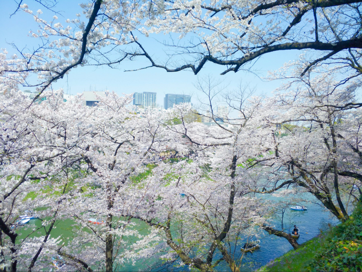 東京自助遊攻略