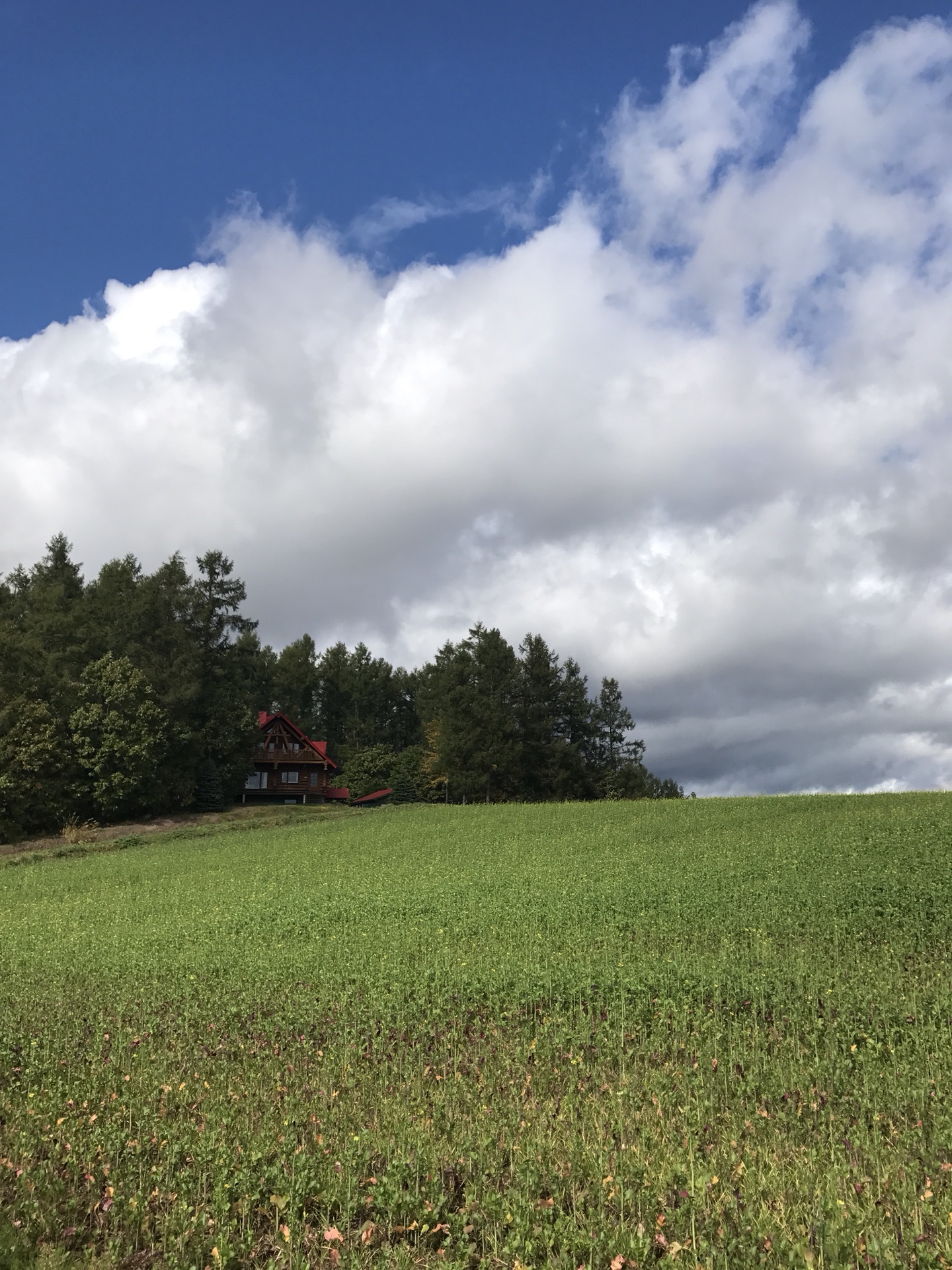 北海道自助遊攻略