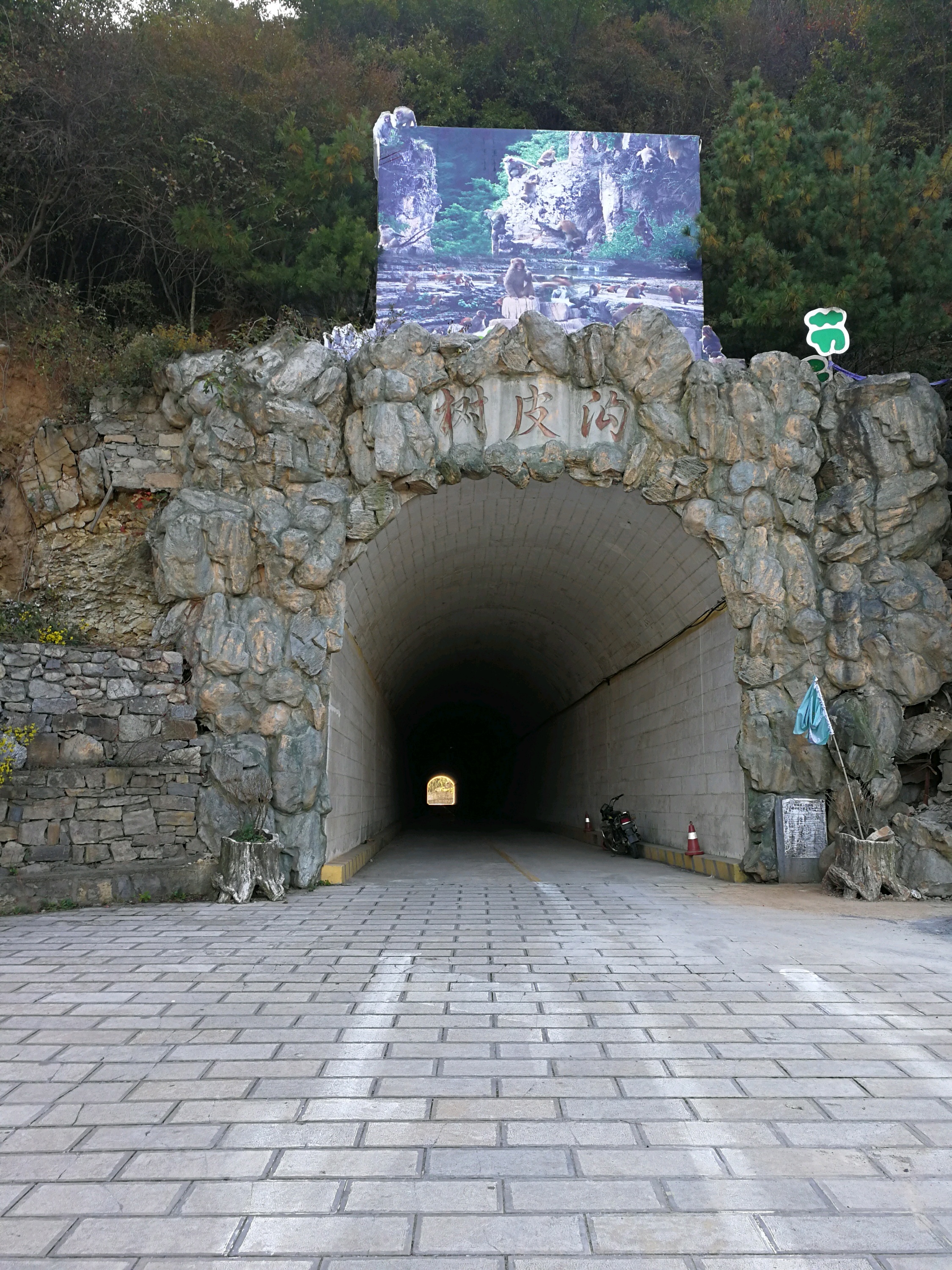 蟒河生态旅游区门票图片