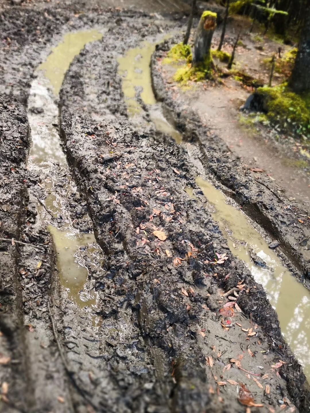 雨崩自助遊攻略