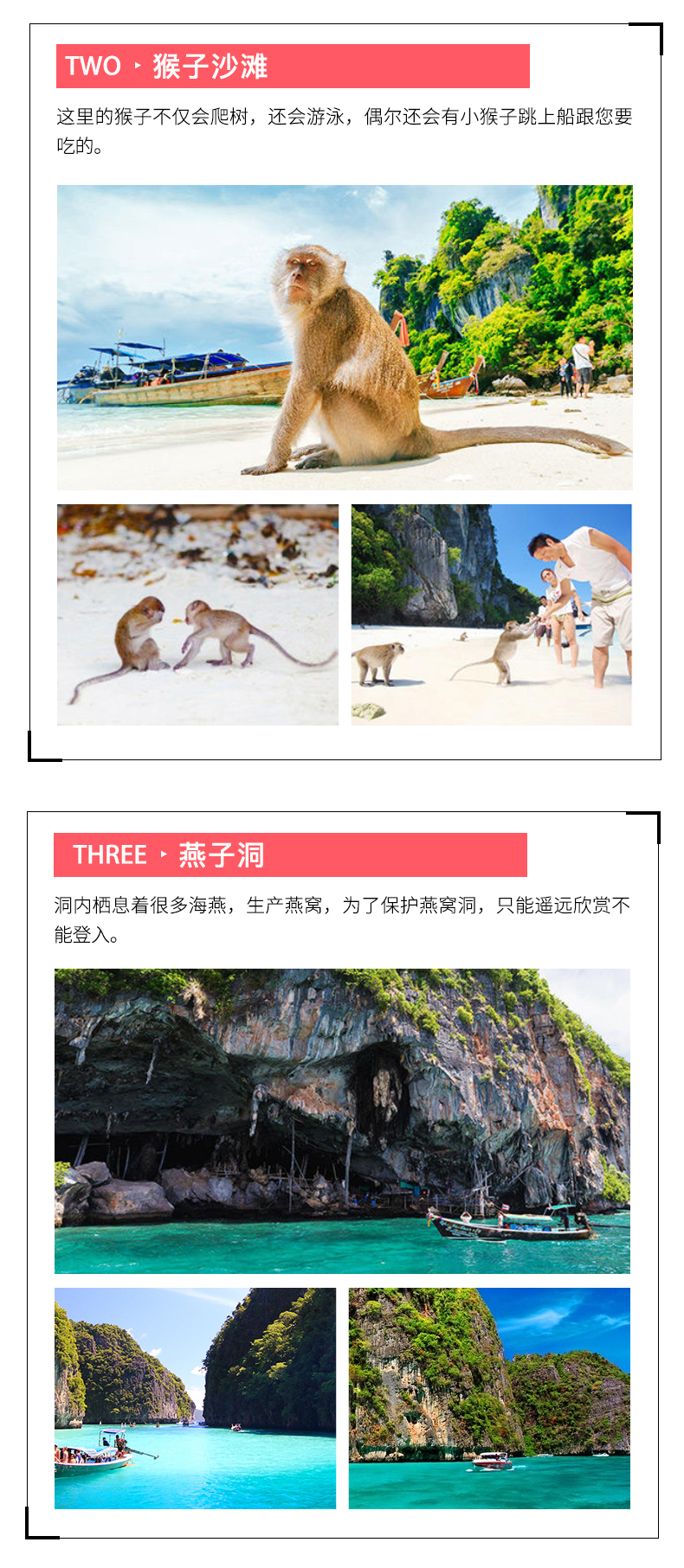 皮皮岛骆驼峰图片