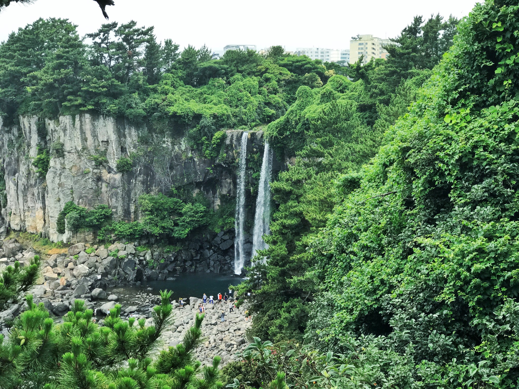 濟州島自助遊攻略