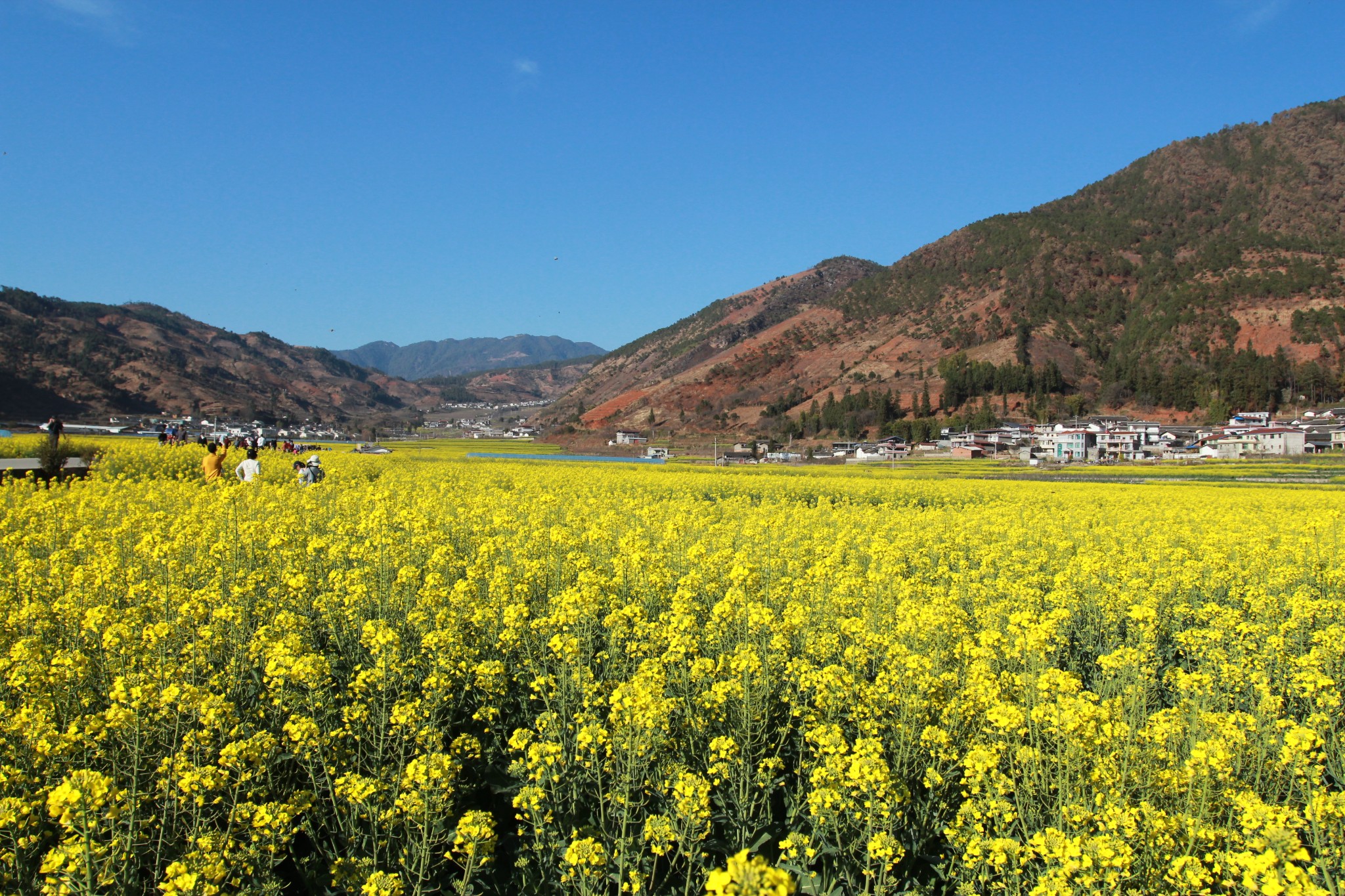 成都--西昌--攀枝花 攀枝花--米易--普威 攀枝花---会理 攀枝花