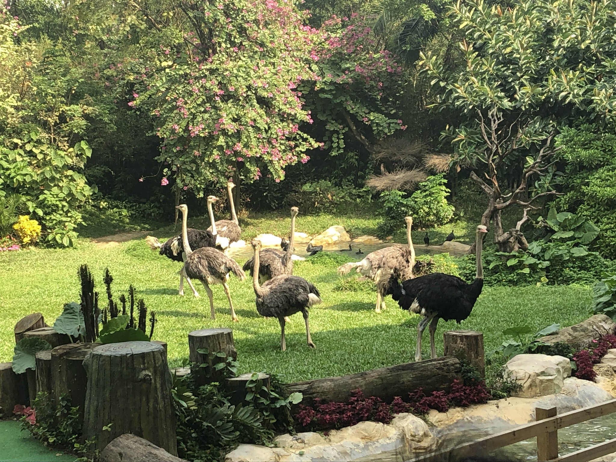 来一场动物王国的双隆记,珠海旅游攻略 - 马蜂窝