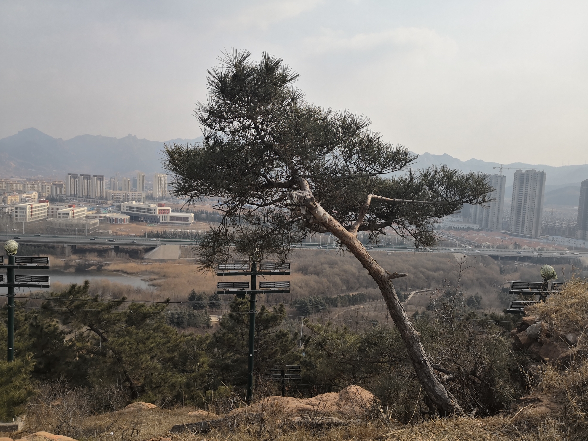 城阳丹山公园图片