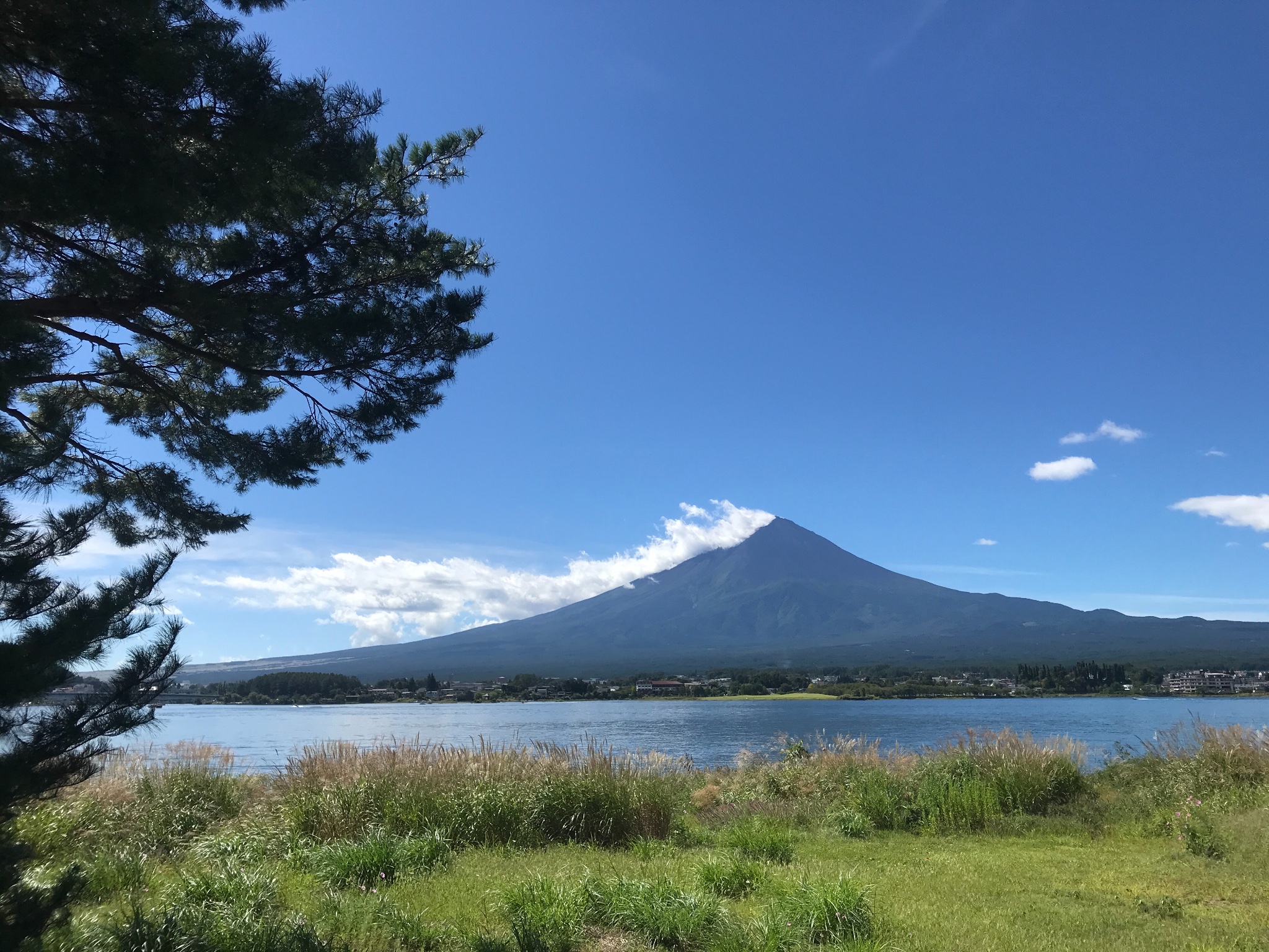 【日本最游记之三】最人气自杀圣地——2018年9月富士山下青木原树海