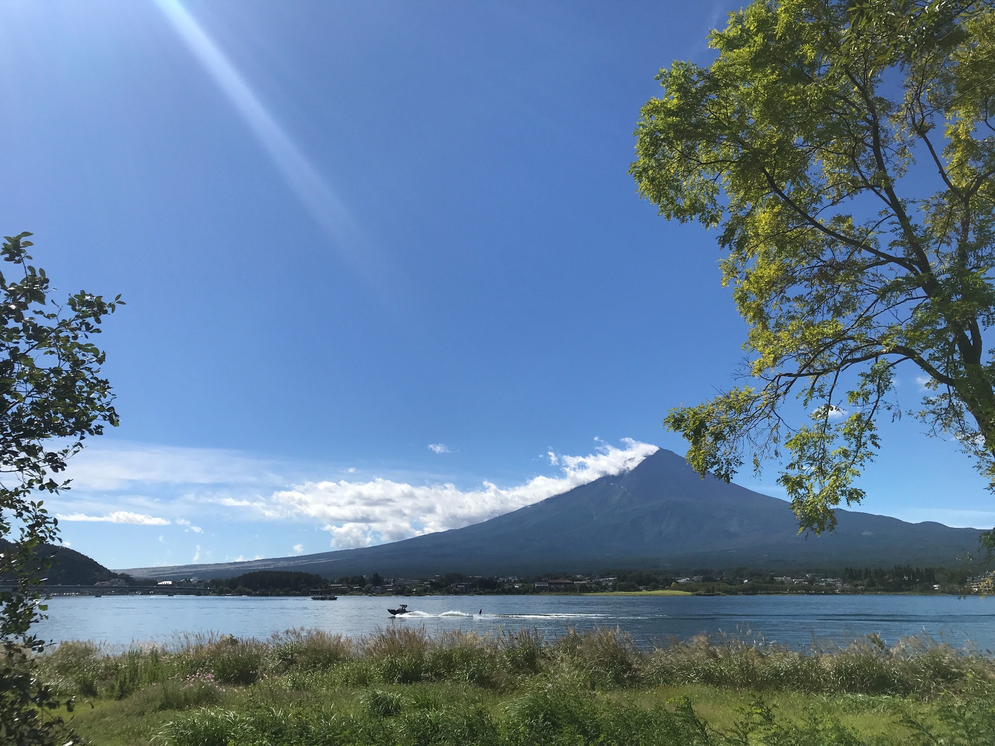 【日本最游记之三】最人气自杀圣地——2018年9月富士山下青木原树海