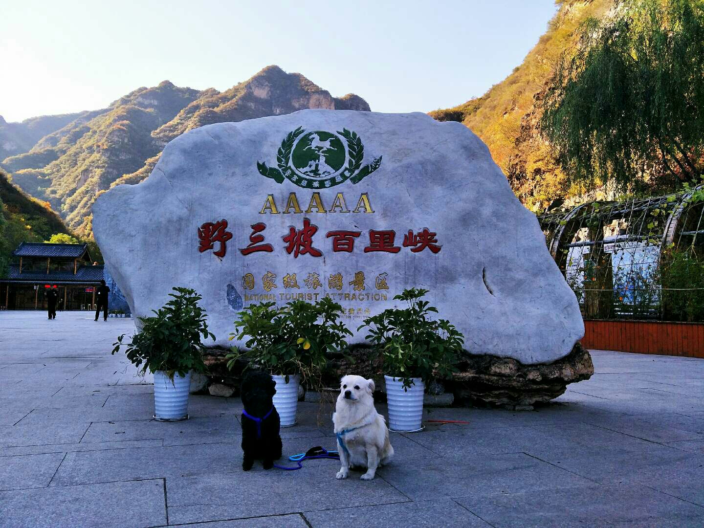 app自駕帶狗 太原出發 野三坡百里峽10月7日,從太原出發回唐山(孃家)