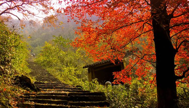 秋季浙江周边一日游推荐，带娃打卡网红赏秋地
