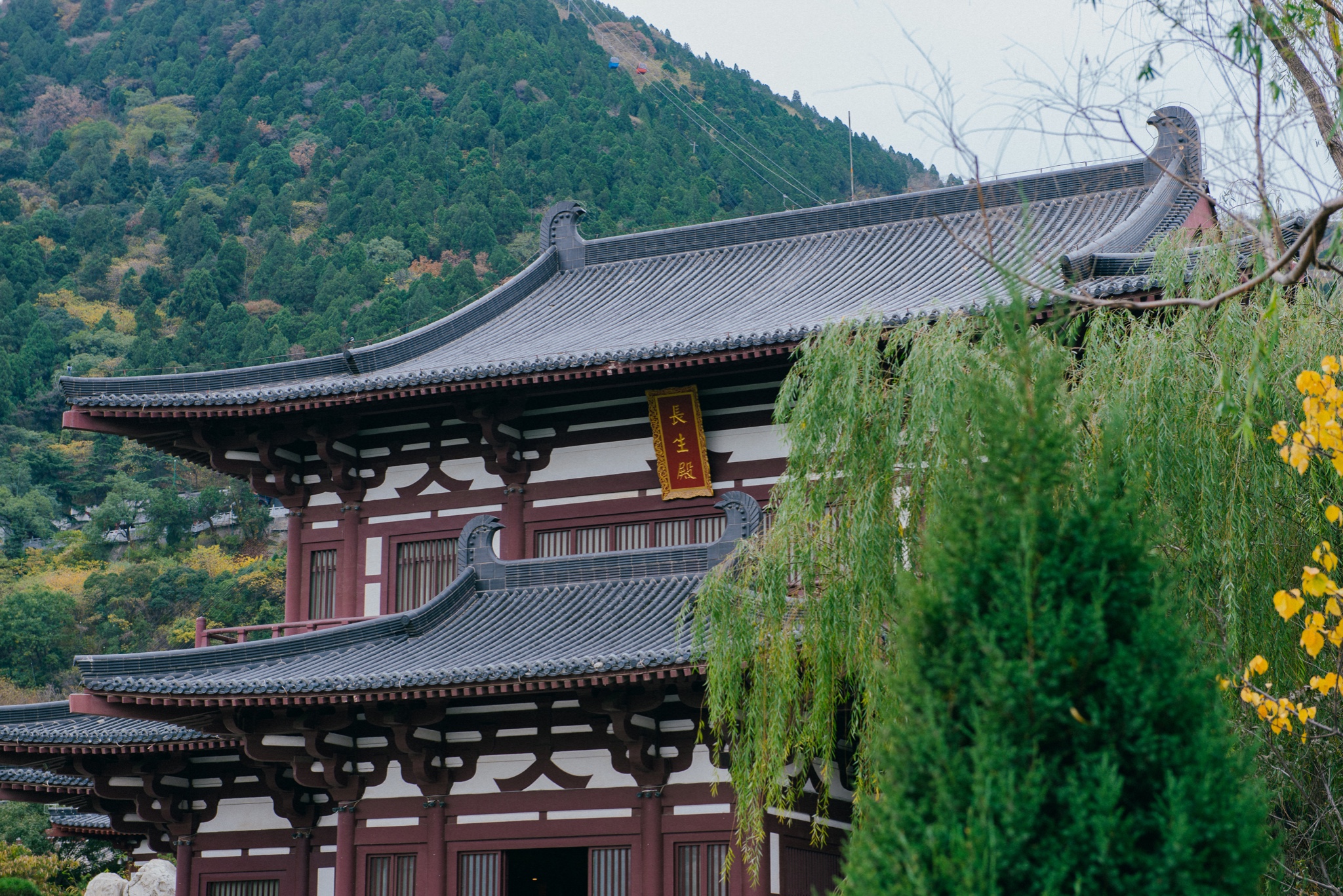 西安浮生三日长安城里寻古风