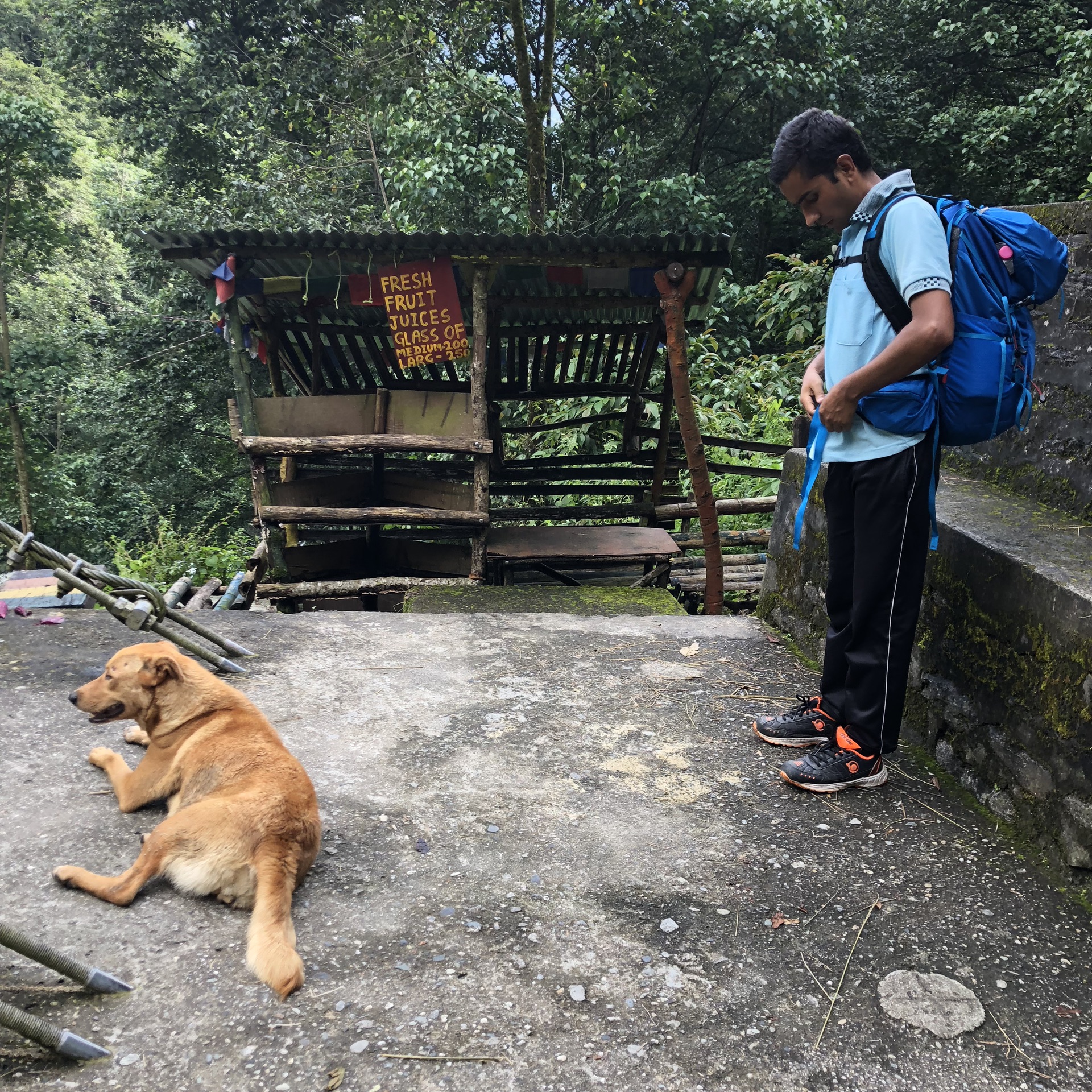 尼泊爾自助遊攻略