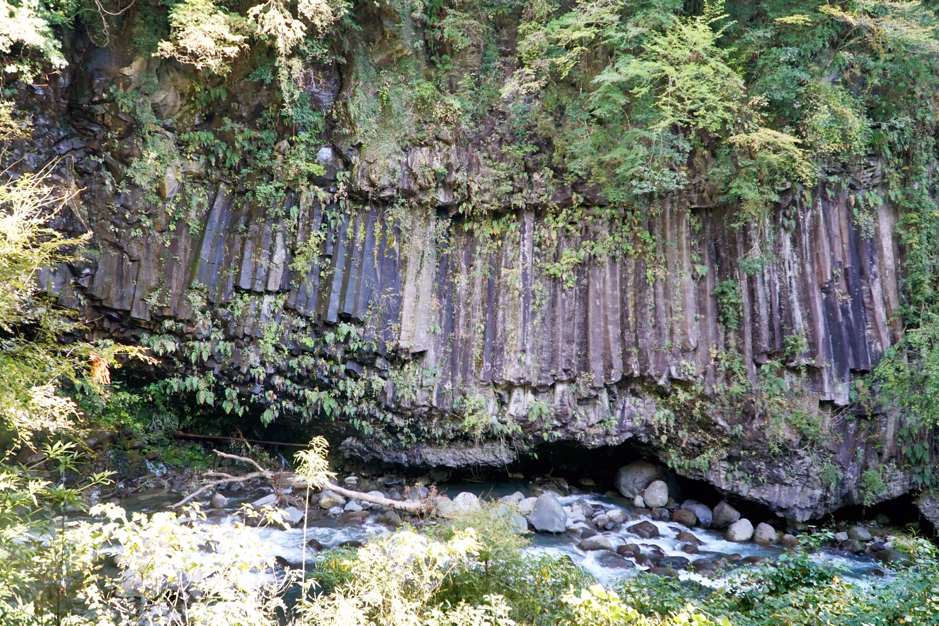 鹿兒島自助遊攻略