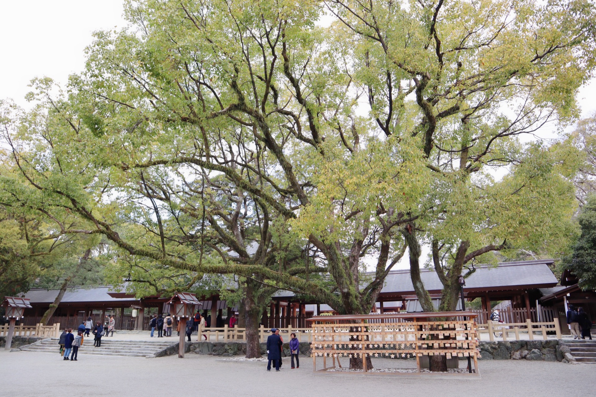 名古屋自助遊攻略