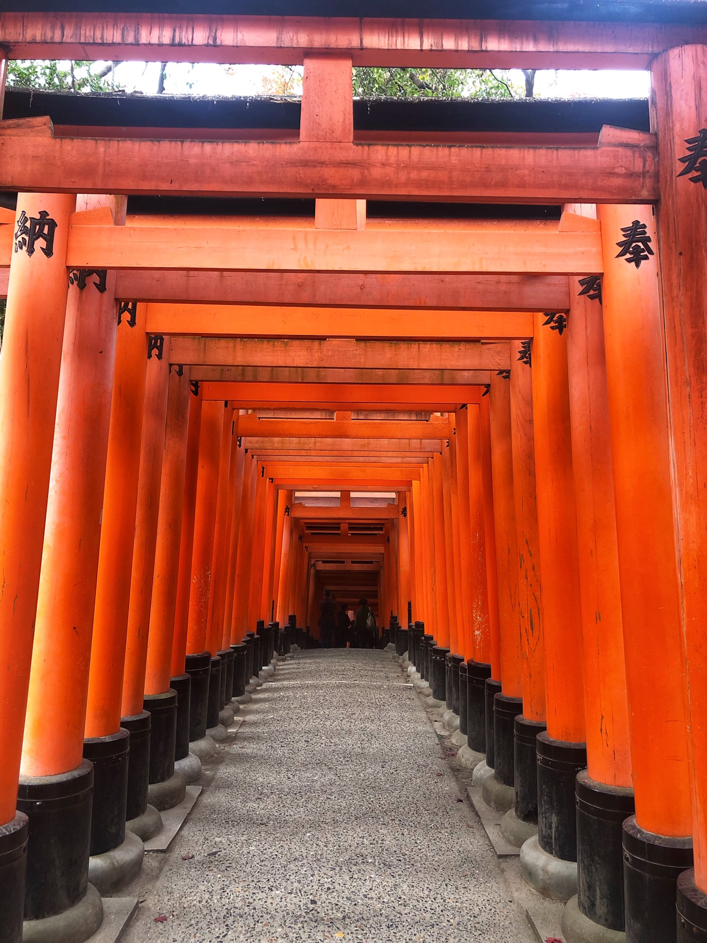 東京自助遊攻略