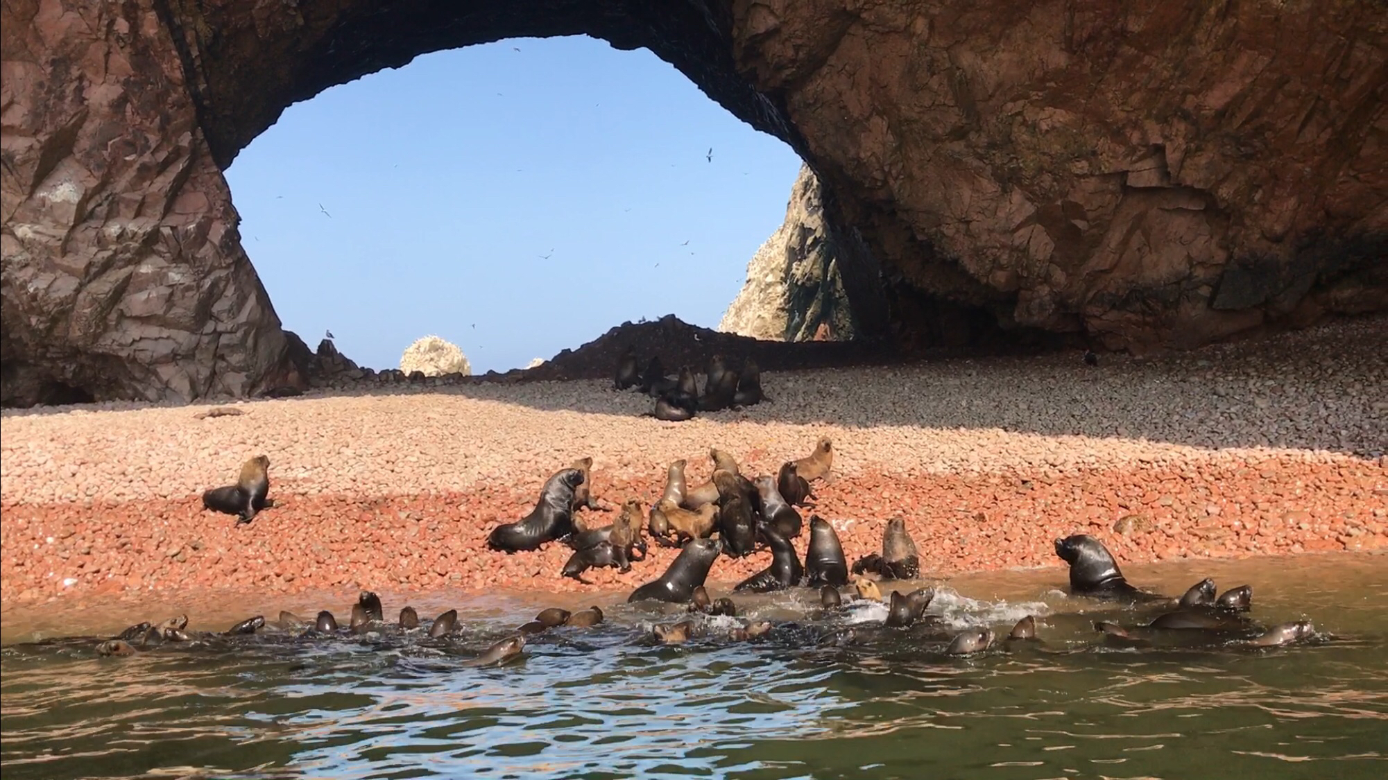 Museo Arqueologico Paracas