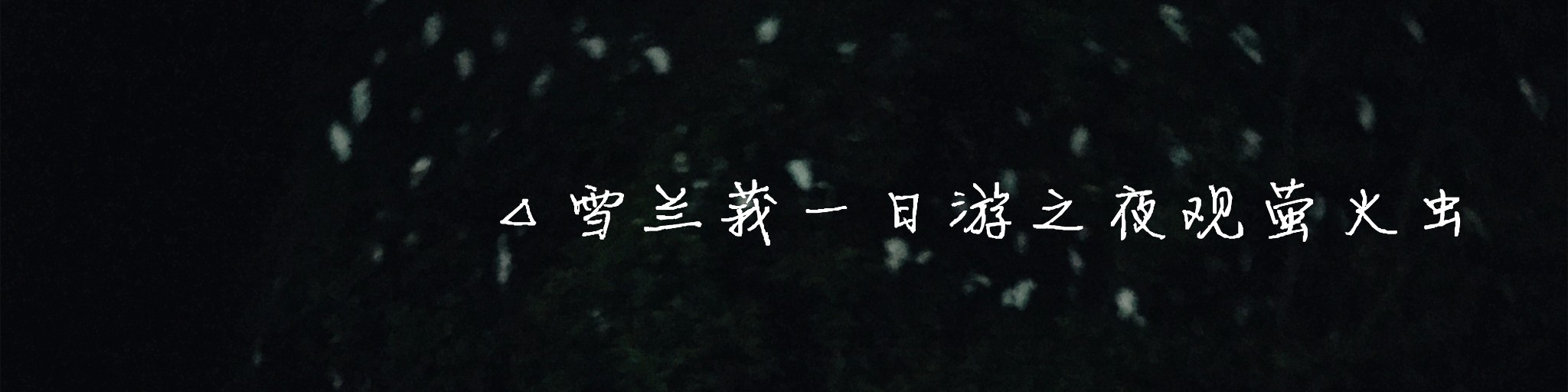 △雪兰莪一日游之夜观萤火虫